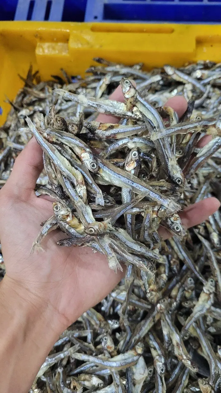 Exporting dried anchovies, raw materials processed from wild-caught sea anchovies