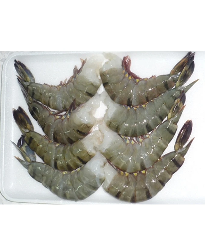 Best Seller Frozen Vietnam Premium Quality Customized Packing In Bulk Raw/Cooked HOSO Black Tiger Shrimp