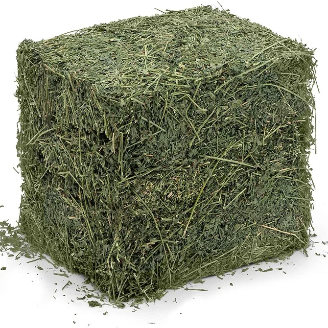 Buy Hay Bale and get the best deals at the lowest prices ! Great Savings & Free Delivery