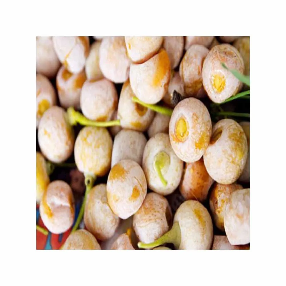 Available Bulk Stock Of Organic Dried GINKGO NUTS At Lowest Prices