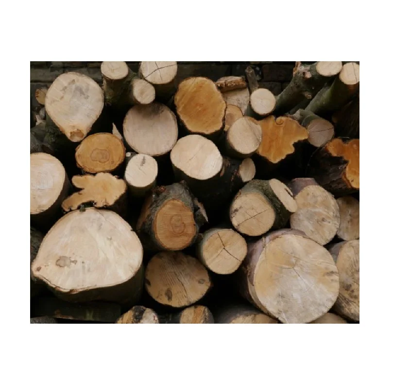 Бревна лиственных пород распродажа низкие цены оптовые скидки идеально подходит для дров и плотницкой древесины высокого качества