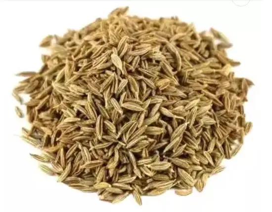 Top class Singapore Europe quality 99% cumin seed price from India