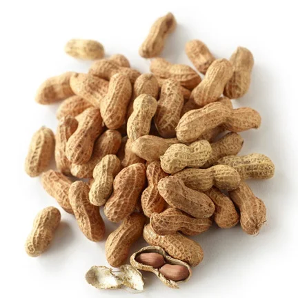 High Quality Raw Peanuts Without Shell Raw Peanuts Peanuts Peanut Harvester Agriculture