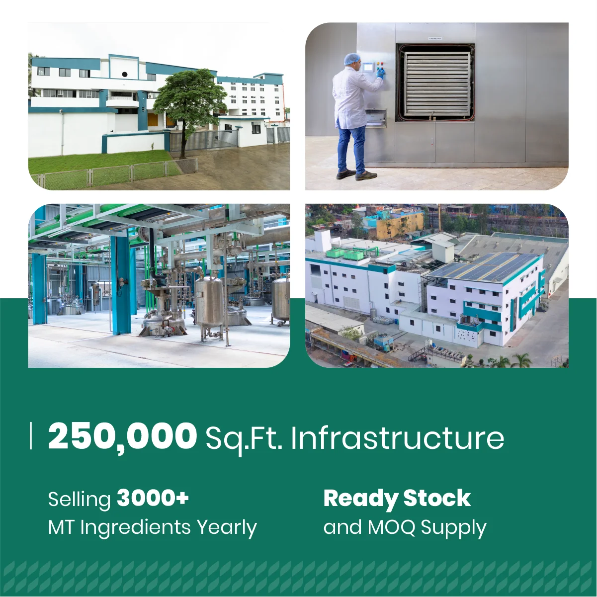 Желтый корень лопуха (Rumex Crispus) — травяной порошок пищевого качества мелкодисперсный