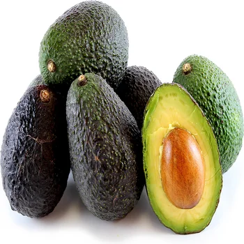 2023 Fresh Avocado / Hass Avocado, Fuerte Avocado For Sale