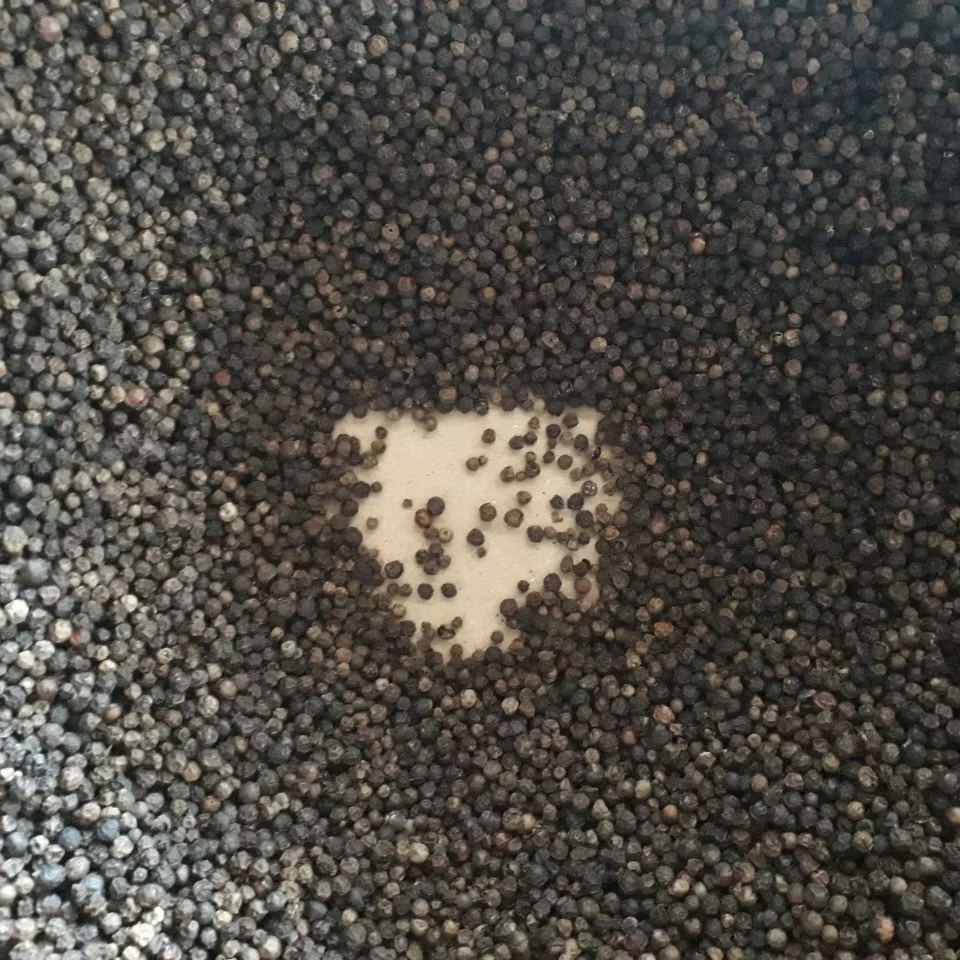 Vietnam High Quality Spices & Herbs Products Best Quality good Price Wholesales Dried White Pepper