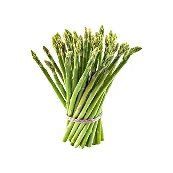 Fresh Jumbo Asparagus From Thailand Ready to Export Premium Quality Fresh Vegetable Green Asparagus