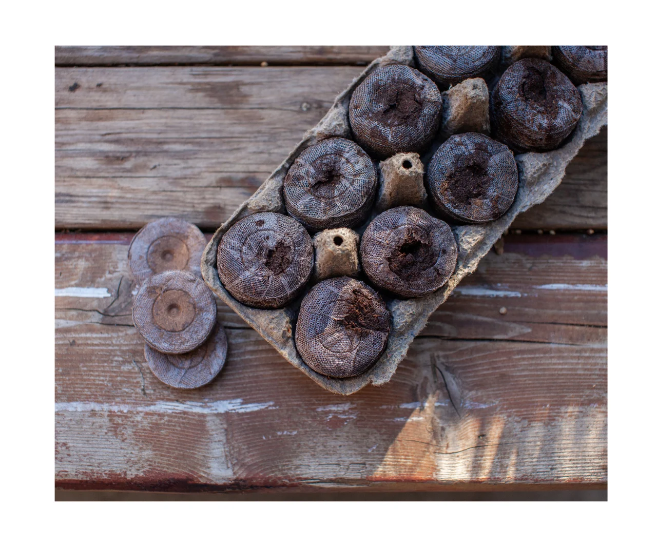 Vietnam Coco Peat Pellet Coir Peat For Planting/ Cocopeat Pellets/Coco fiber coco peat