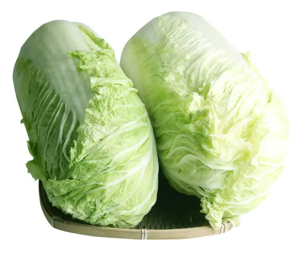 Высококачественная китайская свежая капуста, рыночная цена, оптовая продажа, длинная капуста, продажа с завода