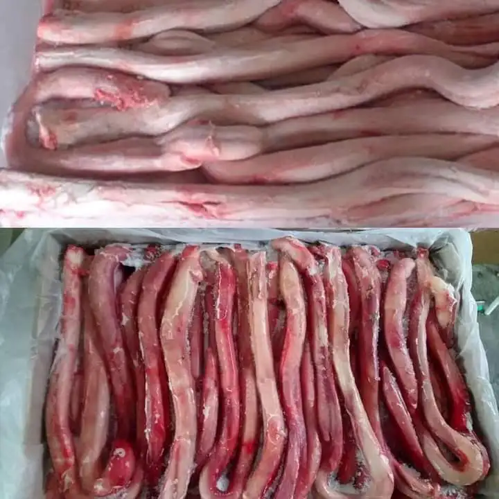 100% Dried Beef Pizzle Stick Dog Chew Pet Treats Dog Food Dry Pet Food Manufacture Best Quality