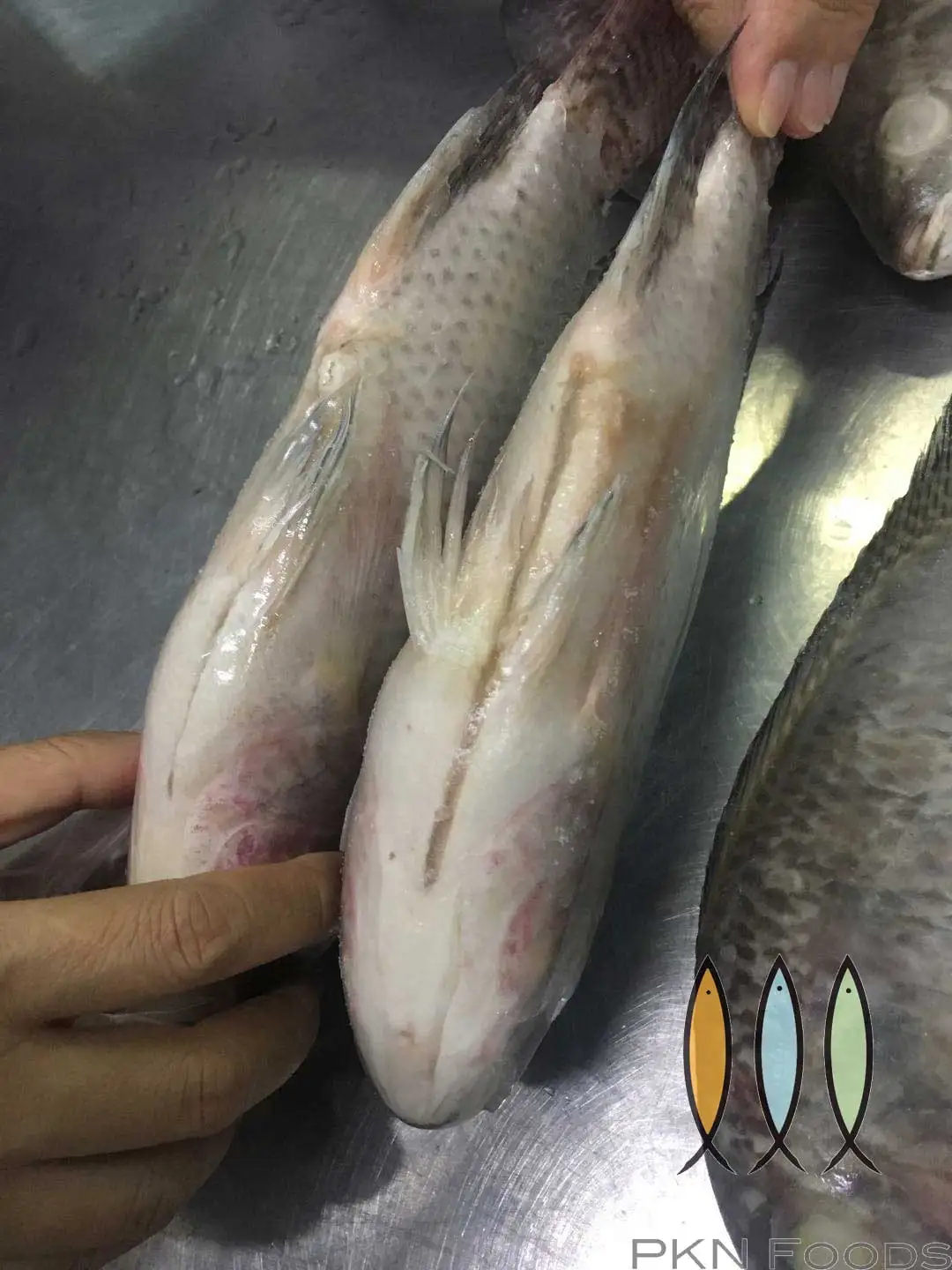 IQF Customize Life Packaging Frozen Type Cutting Supplier Shelf export tilapia fillet Black Tilapia From Viet Nam