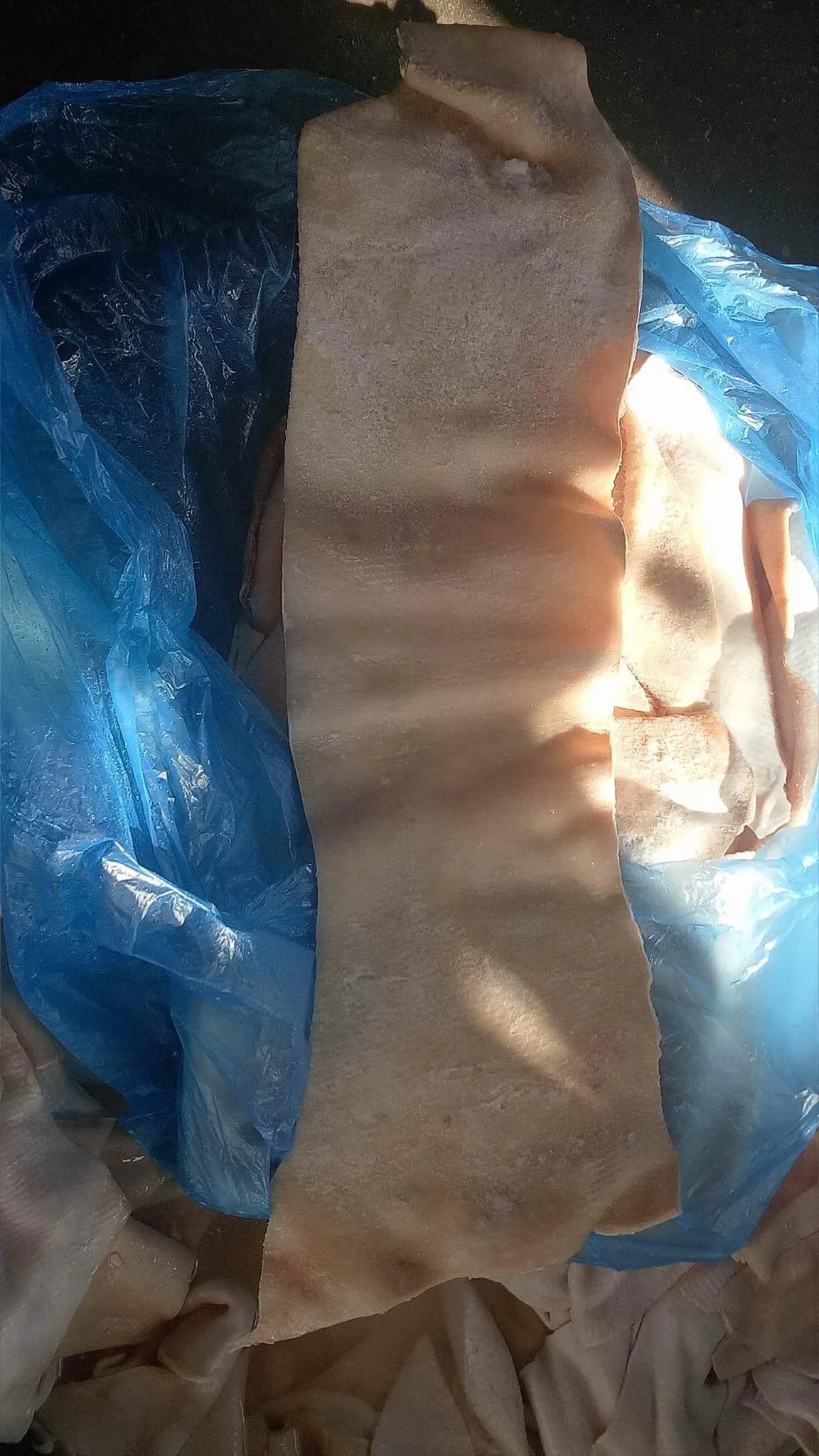 HIGH QUALITY FROZEN PORK SKIN / BRAZIL ORIGIN FOR SALE