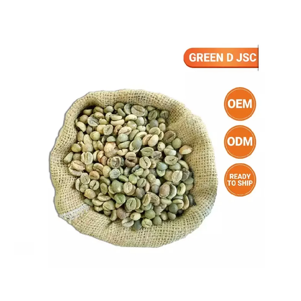 Vietnam High Quality Best Selling Raw Roasted Processing Arabica Green Coffee Beans In Plastic Packaging