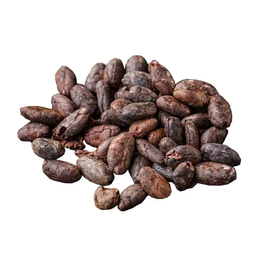 Bulk 100% Organic Cocoa Beans Online, Raw Sun Dried Criollo Green Cocao Beans Good for High Quality Chocolates Export