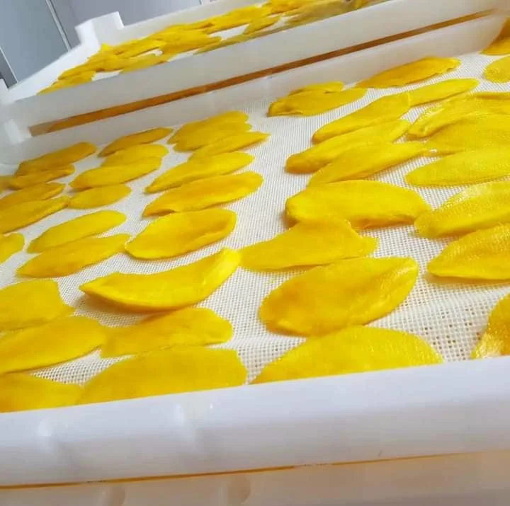 Cheapest price natural dried mango with high quality grown in Vietnam  Ms Mary