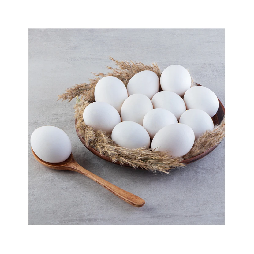 Fresh Eggs High Quality Private Label 100% Natural Suppliers Animal Products Collagen Breakfast Food Chicken Eggs