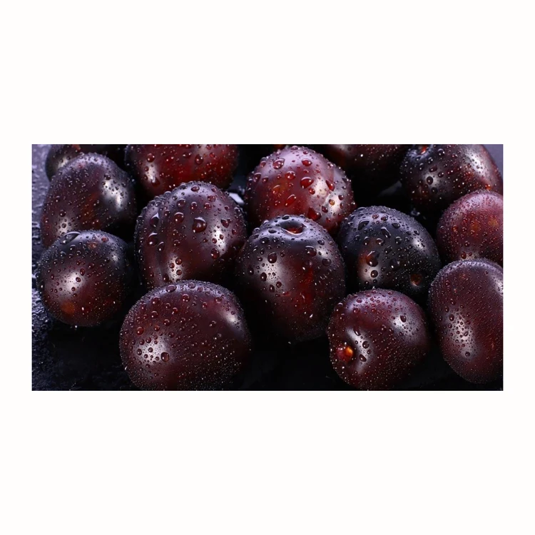 Fresh Tomato Cheap price and quick response with high quality and carefully packaged