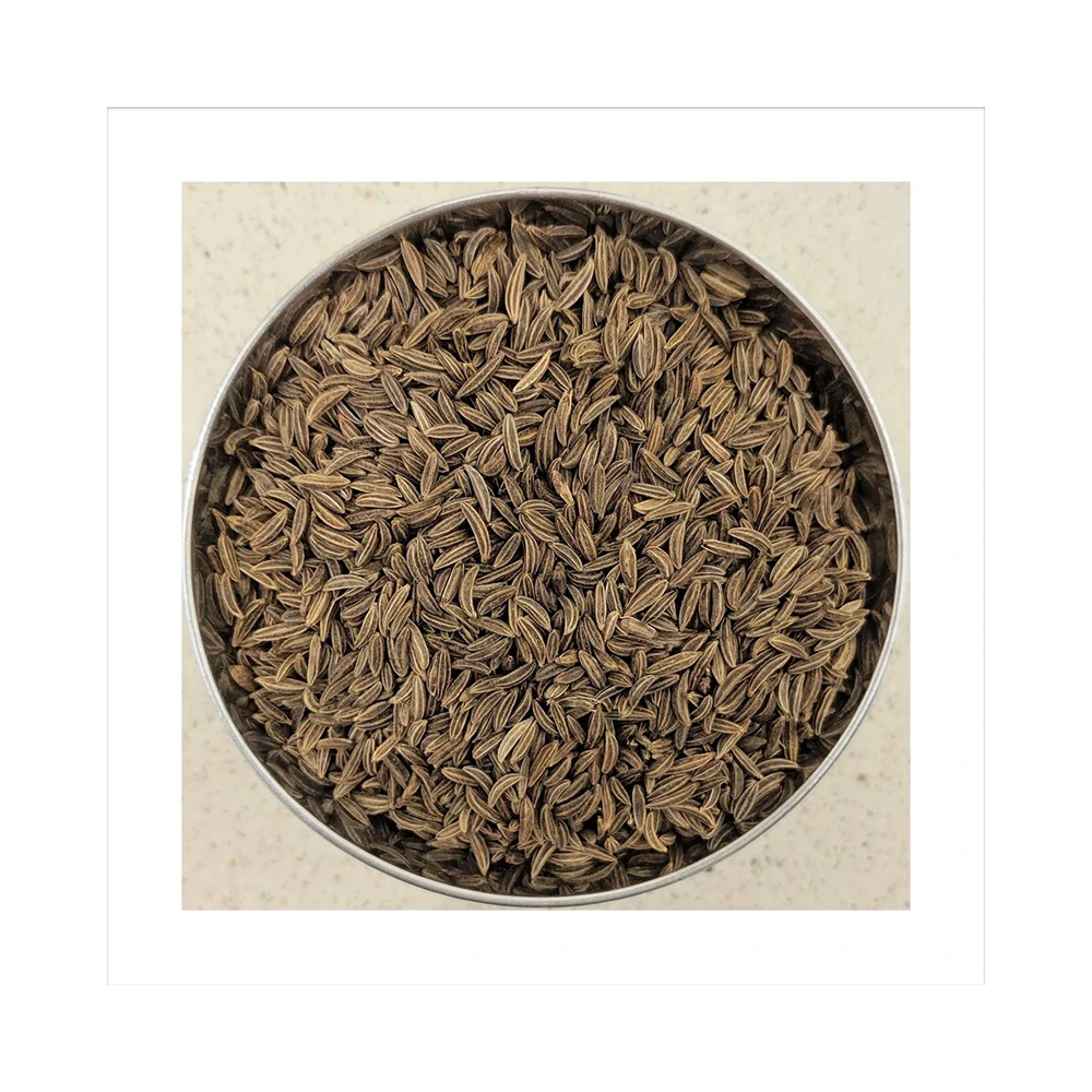 100% Pure Organic Cumin Seeds ISO Certified High Quality Single Spices & Herbs Wholesale Supplier