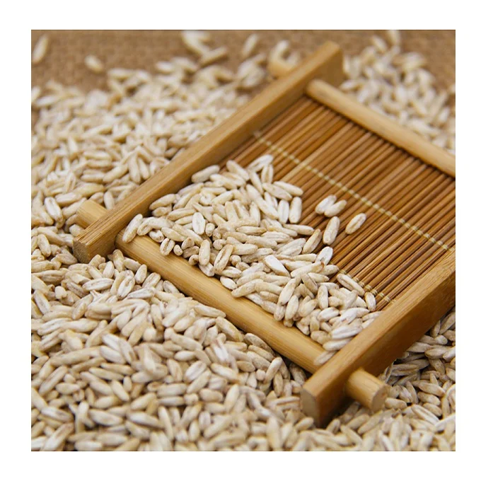 Top Quality Hulled Oats/ Oats Grains For Sale