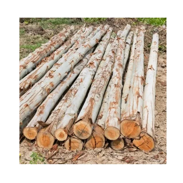 Wholesale Eucalyptus Wood Logs, Various Dimensions