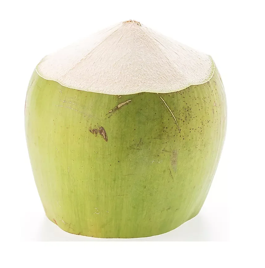 Ready to Ship High Quality Young Coconut Aromatic Semi-Husked Diamond Cut Green Fresh Coconut for Modern Trade  from Thailand