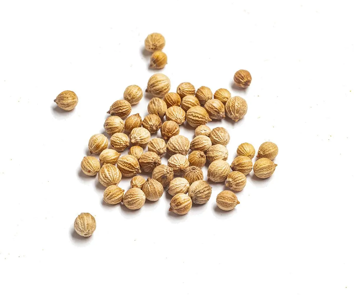 Organic Coriander Seeds