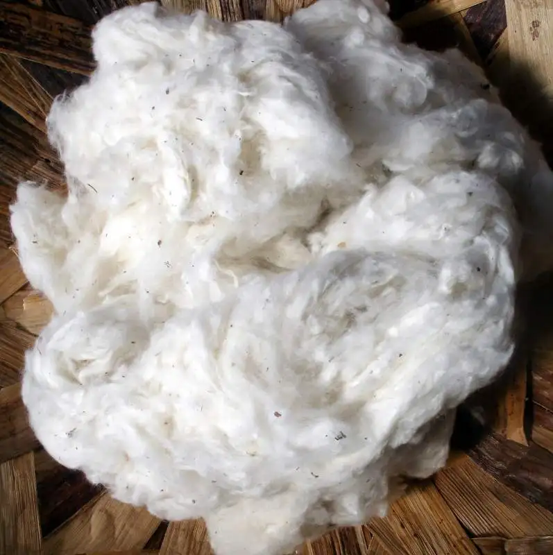 best quality bulk supply cotton