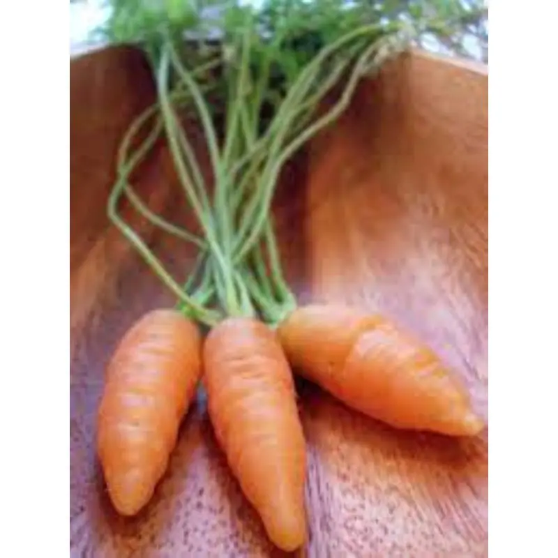 download (2) - Copy.jpg