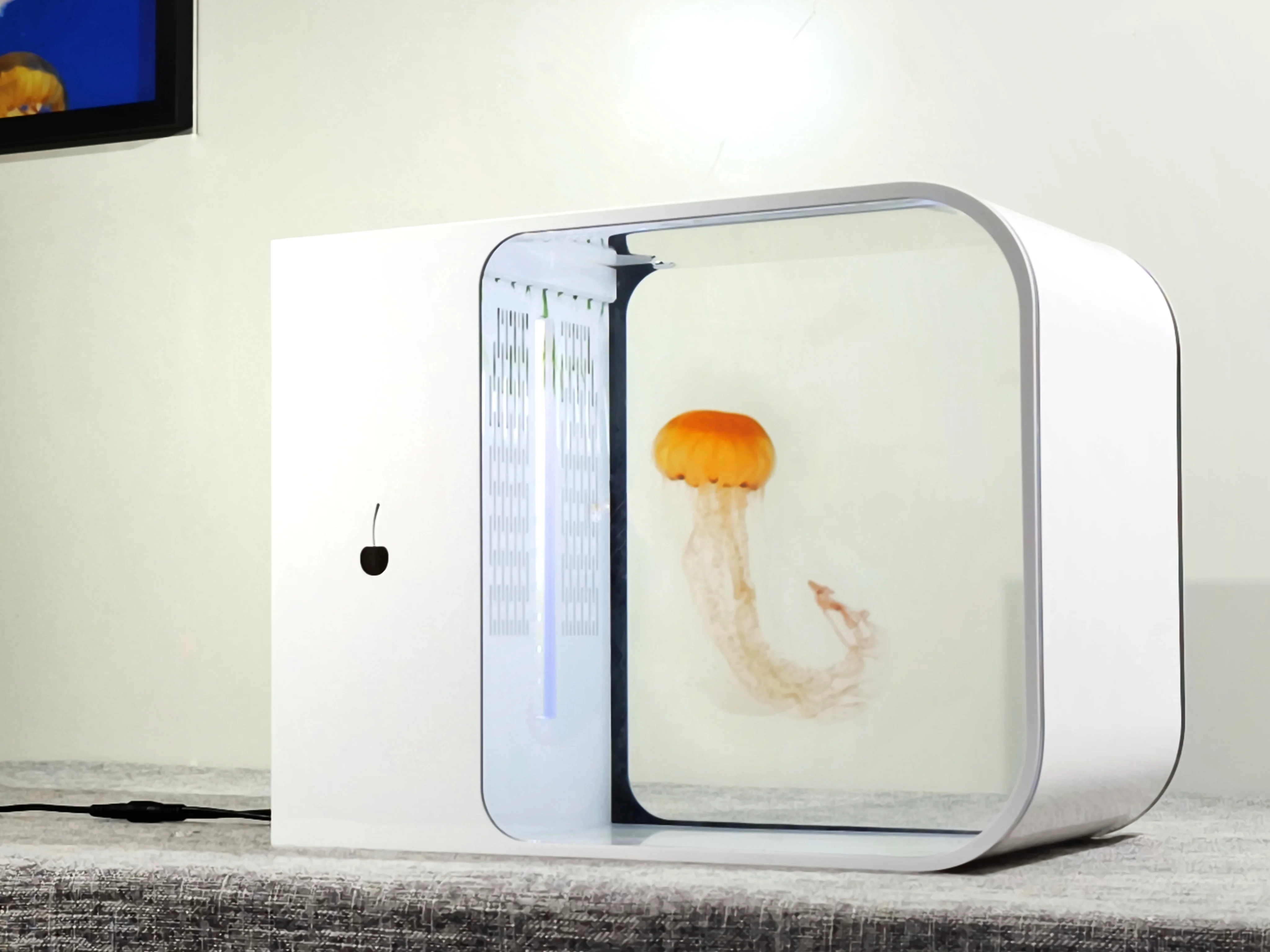 18 liters acrylic large aquarium fish tank with remote control lamp motor for jellyfish