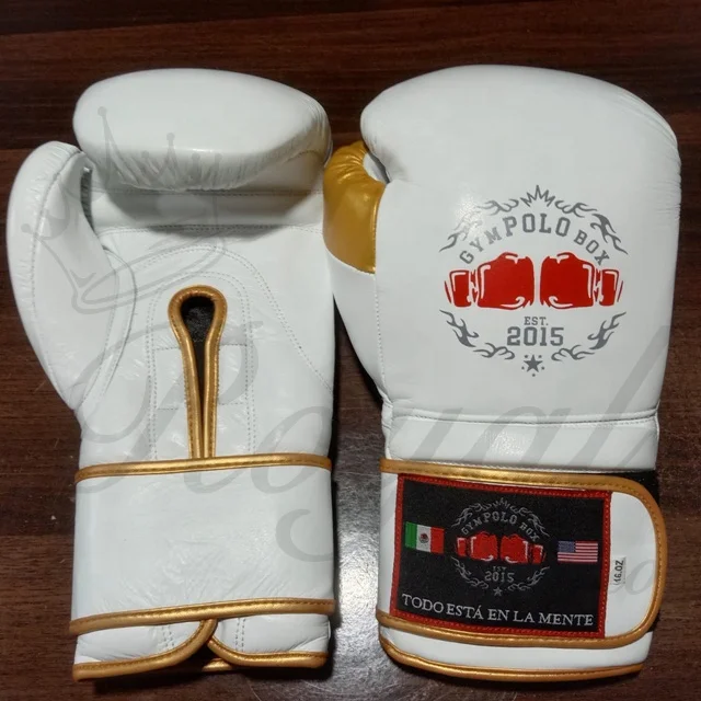 OEM Custom Professional Kick Boxing Gloves New Design with Your Own Logo Quty Leather Available in Sizes 12oz 16oz 14oz Sporting