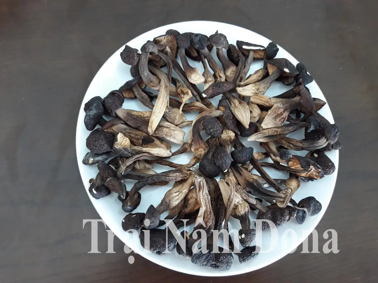 Культивируемый киновозный грибок термитов (Termitomyces albuminosus) цельный сушеный гриб источник сырого корма для фермерского использования низкая цена