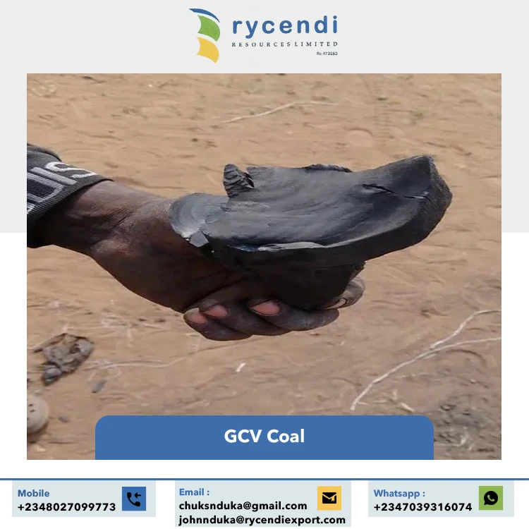 Factory Direct Sale Premium Quality Bulk Supply Wood Industrial Mined Coal GCV Calcined Anthracite Coal at Low Price