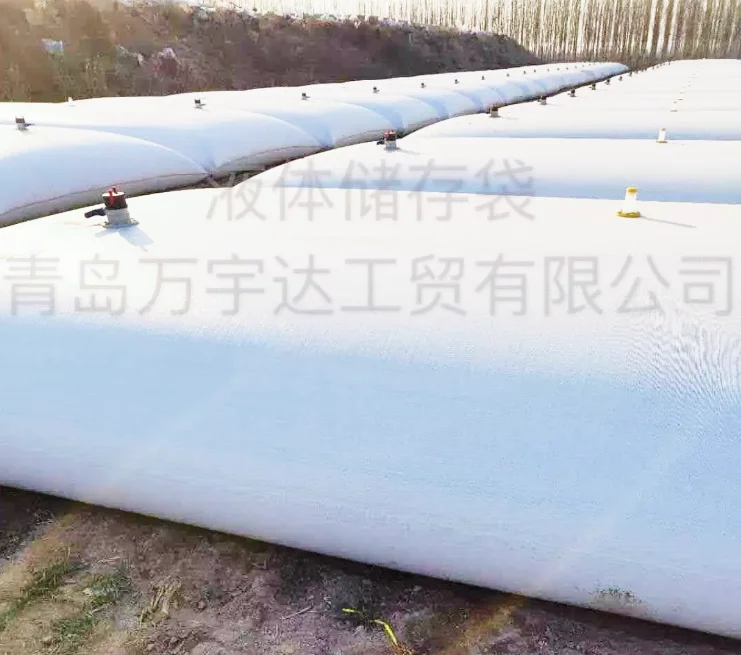 20ft Container Flexi Tank  Flexi bag Flexibags Flexitank For Liquid Storage And Transport