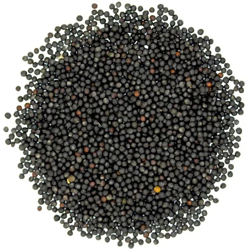 Black Natural Rapeseed