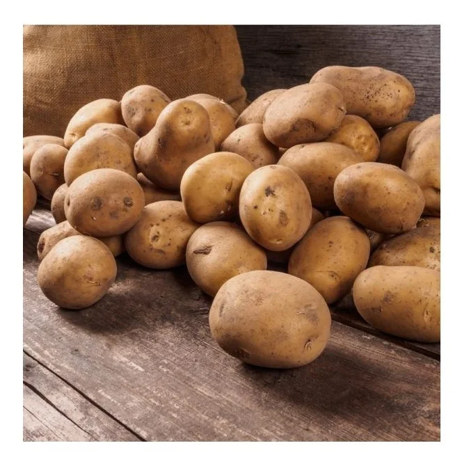 Organic New Crop Fresh Irish Potatoes Sweet Tasting Organic Irish Potatoes