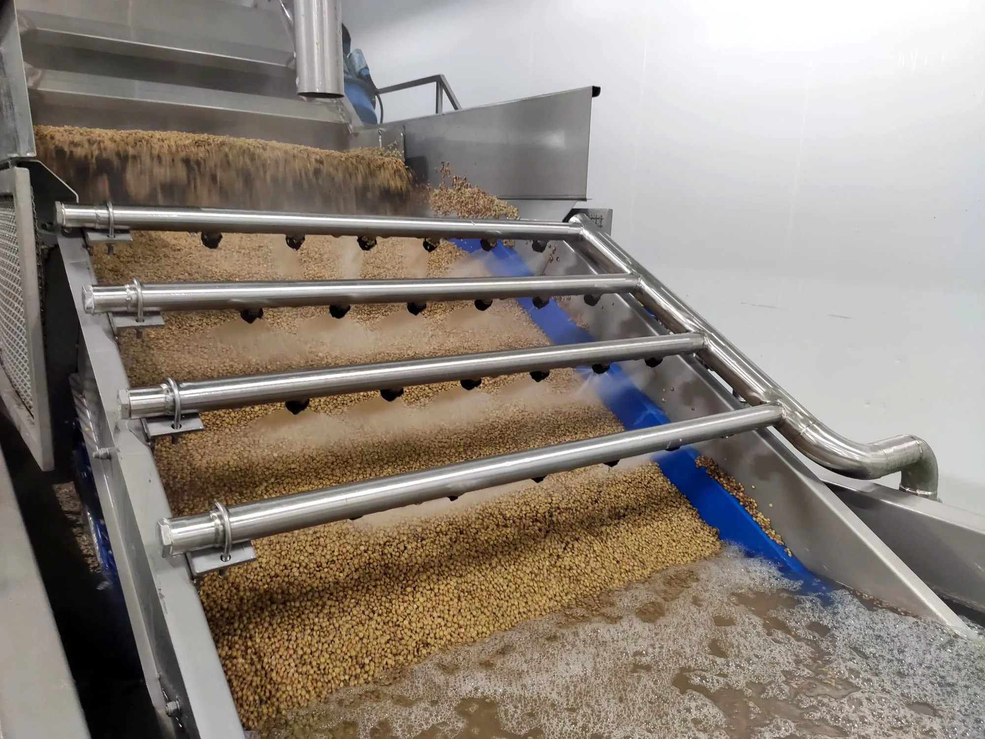 Best Spanish Quality Canned Vegetables Healthy Preserves Tinned Lentils Cooked Brown Lentils for Supermarket and Horeca 3kg