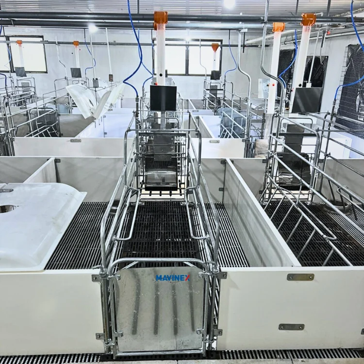 Good quality pigsty farrowing pen at good price farrowing crates pigs  Stainless Steel  from Vietnam Cheap High Quality