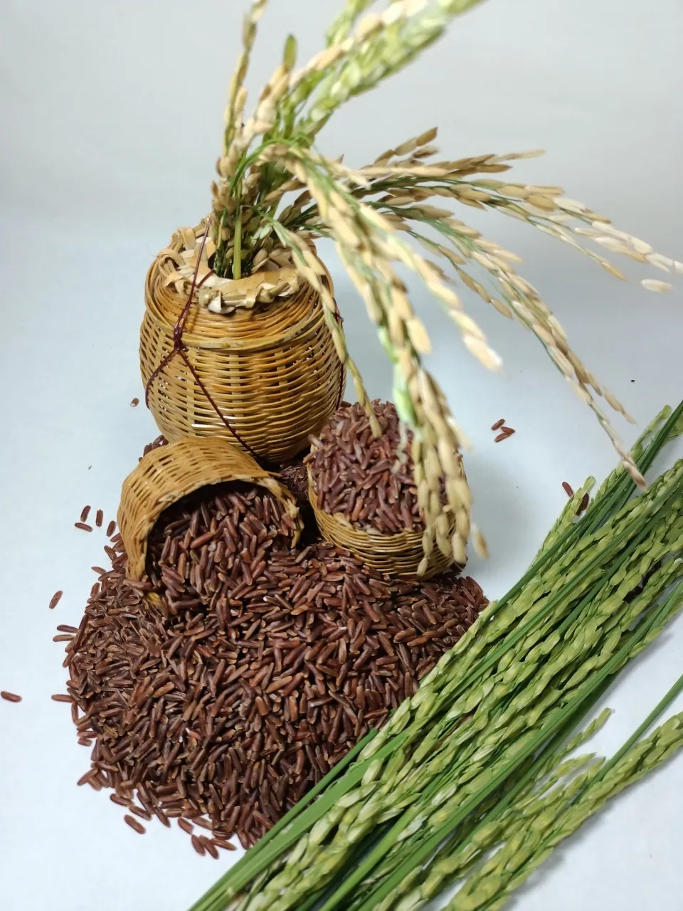 Seven Mountain Rice Long grain Red Cultivation Type ISO 22000 HACCP GMP Certification