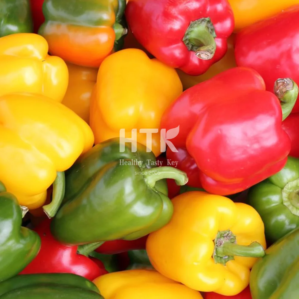 BEST PRICE FROZEN IQF MIXED CAPSICUM BELL PEPPER RED GREEN YELLOW DICE CUBE 100% ORGANIC SWEETNESS  for Food & Beverage
