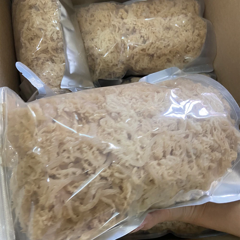 High Quality 100% Oragnic Natural Gold Sea Moss/ Irish Moss / Wildcrafted Sun Dried Seamoss From Vietnam