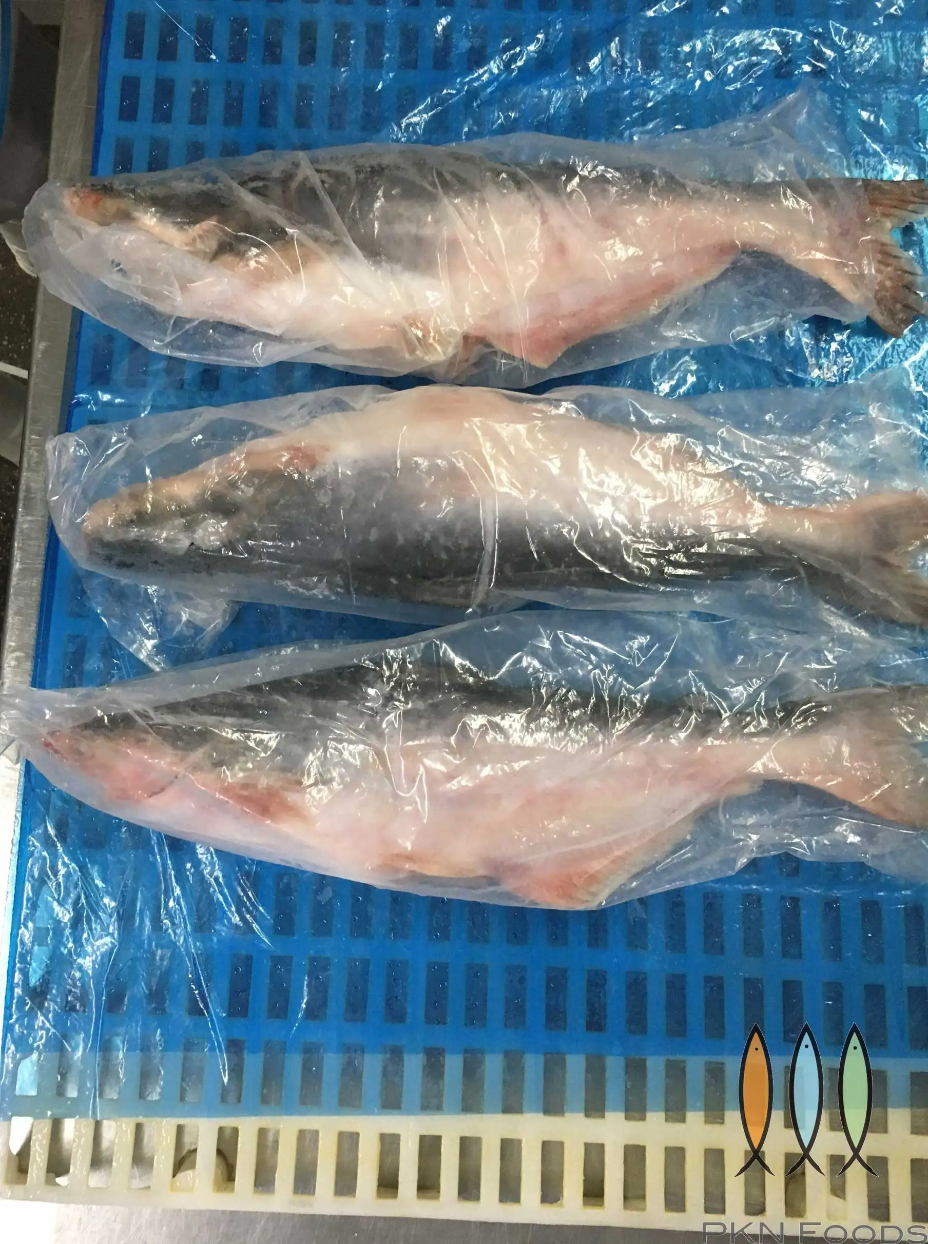 Bulk Supplier Package Customize Quality Cheap Price Shape with Skin frozen fish fillet Pangasius from Vietnam