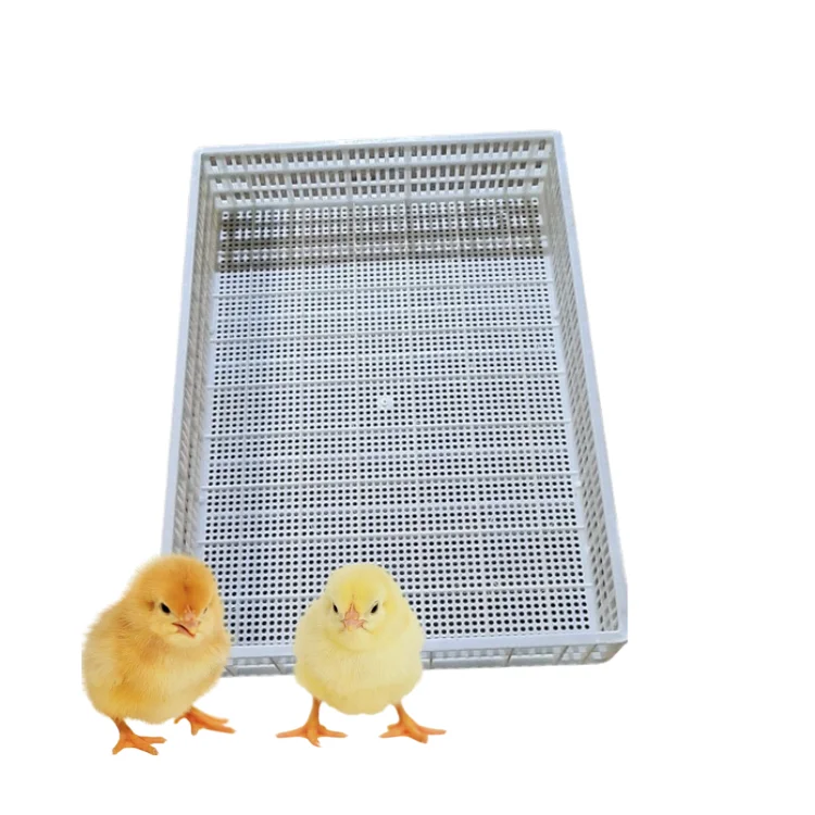 Poultry Plastic Slat Floor Good Quality Secure For Duck Poultry Equipment Customization From Vietnam Manufacturer