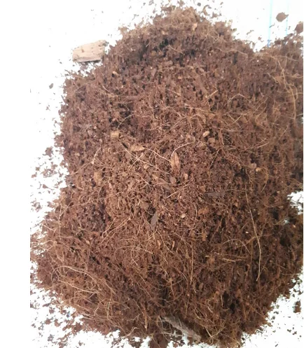 BEST PRICE GOOD QUALITY COCOPEAT LOOSE LOW EC FOR PLANTING IN BULK QUANTITY FOR SALE FOR GARDEN POTS & PLANTERS - MS FLORENCE