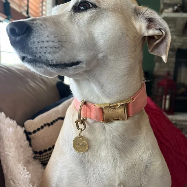 Custom logo engraved solid brass rough and not smooth round blank brass dog tags with struck effect