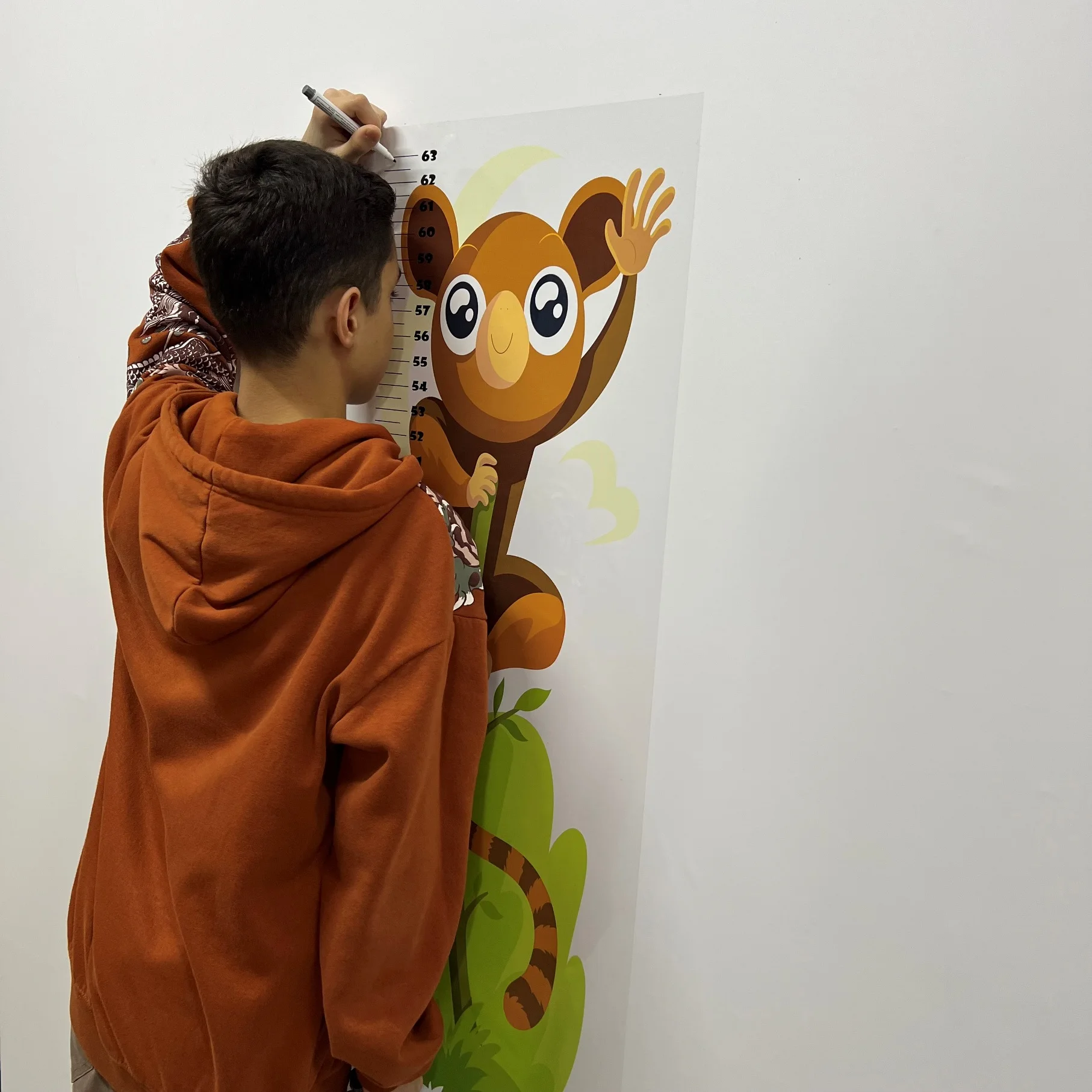 Dry Erase Growth Chart For Kids Model-4 Reusable Durable Polystyrene Material Holds The Surface With Static Electricity