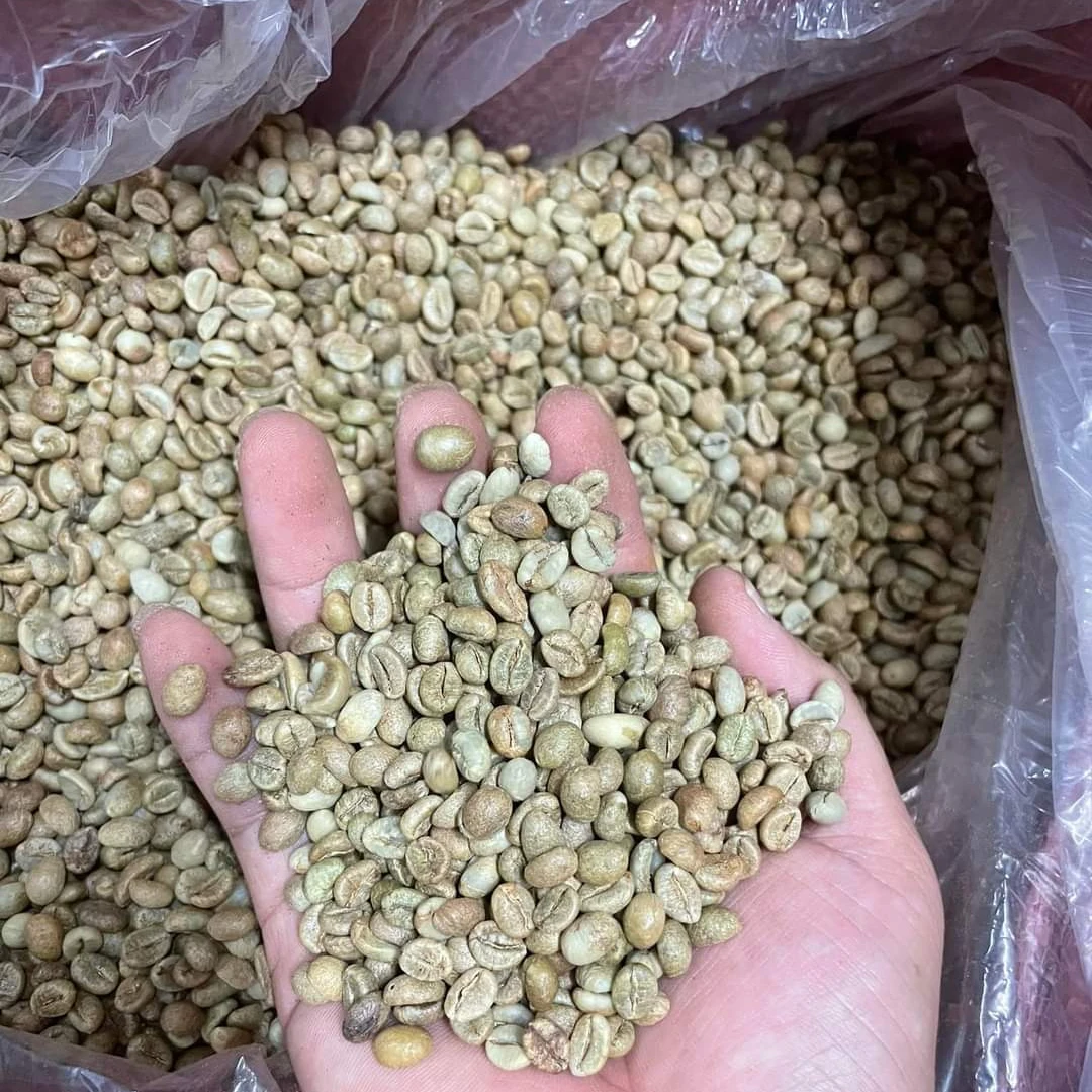 Оптовая продажа немытые кофейные зерна ROBUSTA G1 S16 класса премиум с влажной полировкой от ENeoHome