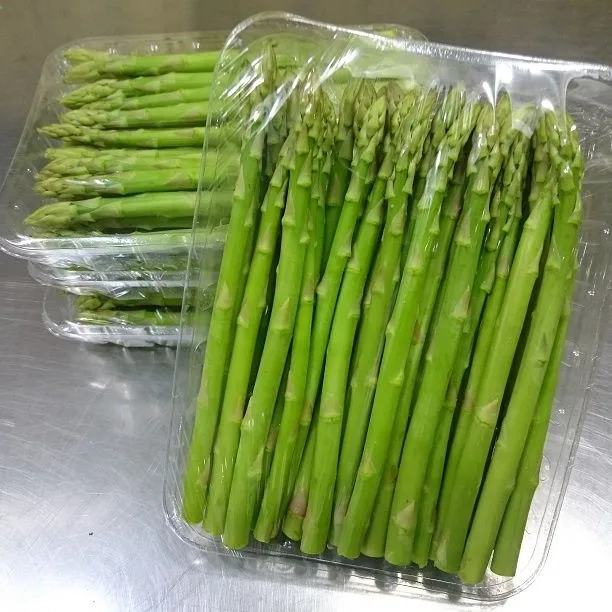 Fresh Asparagus