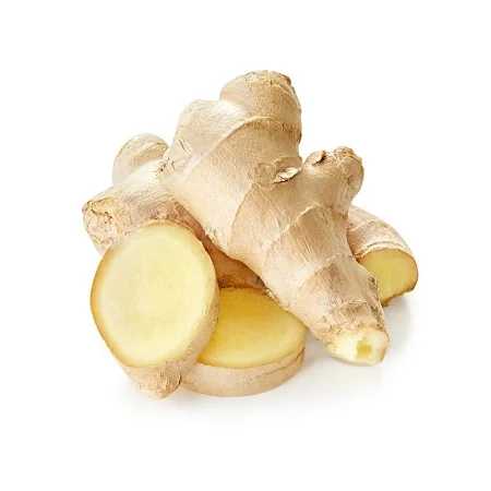High quality dried fresh ginger market price per ton wholesale