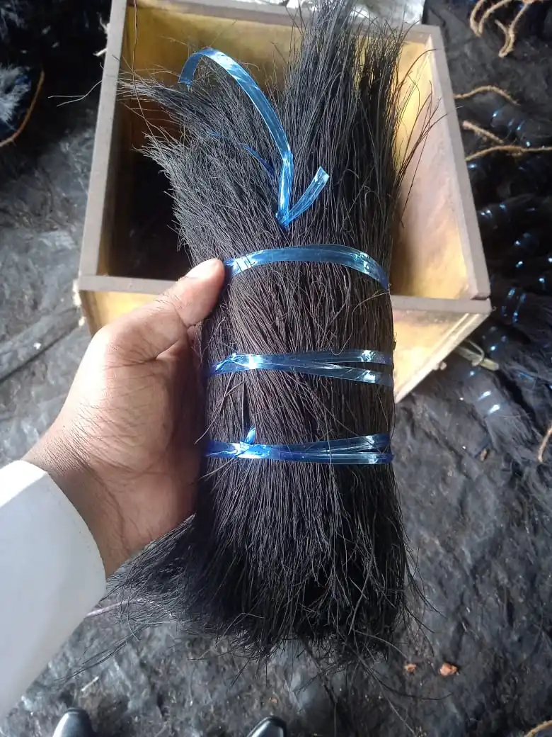 2022 hot product - Black Coir Bristle Fibre ( contact to +91-9895764873 )