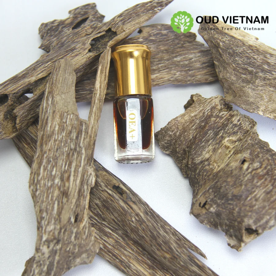 Premium Vietnamese Pure Natural Agar wood Chips Super GradeTripple A+ Precious Quality Ant Oudh Incense Fragrance Sweet Full Oil